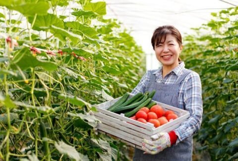 Agri-food-pilot