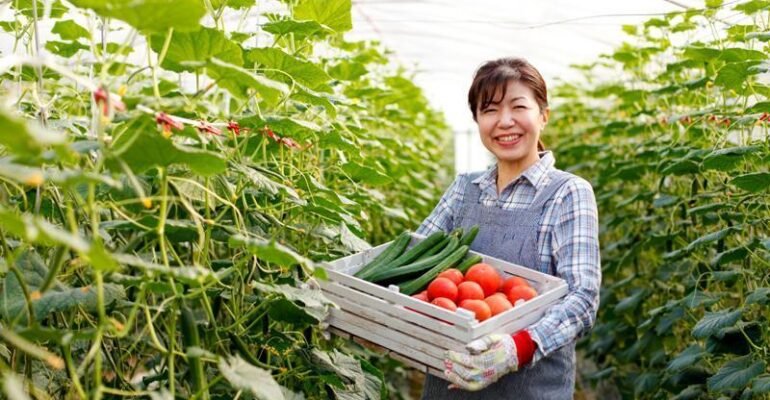 Agri-food-pilot